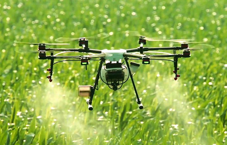 Agriculture durable et innovation